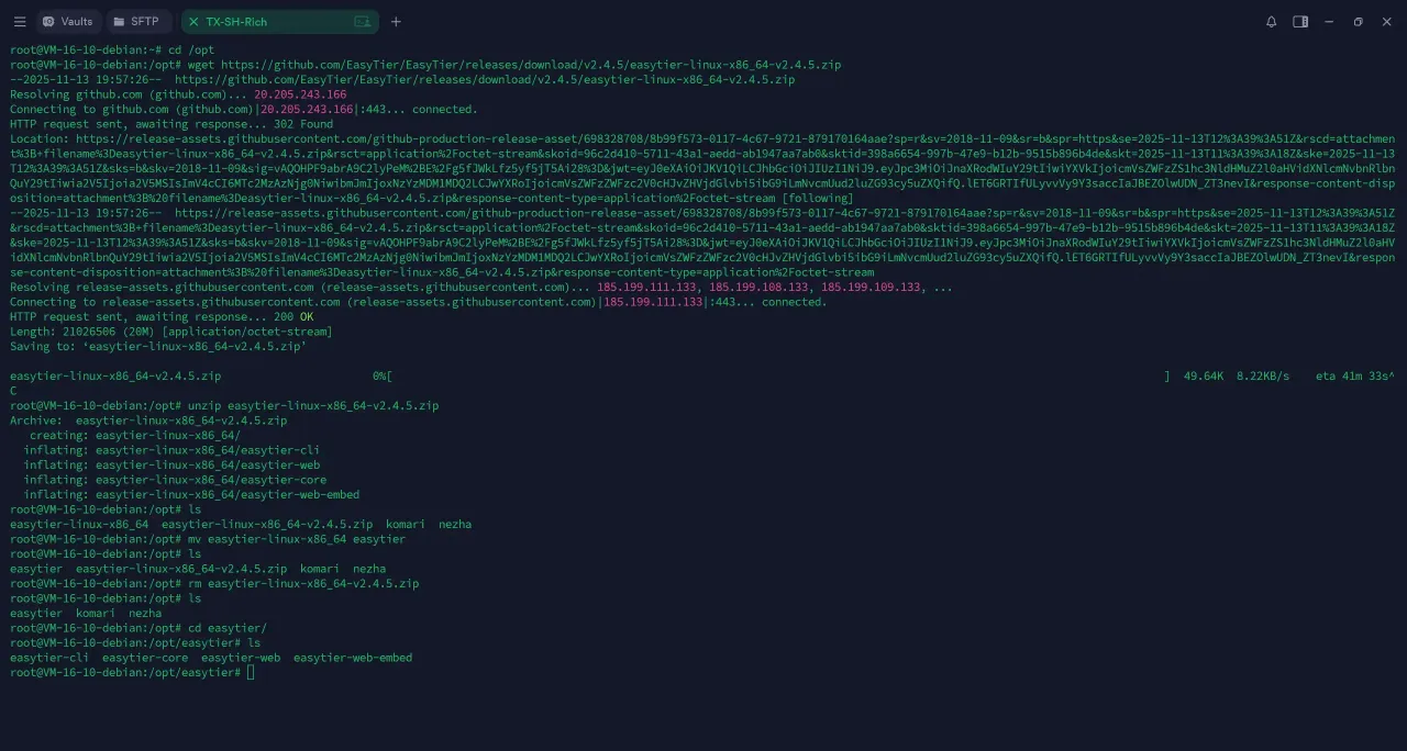 服务器终端中解压 EasyTier Linux 安装包